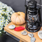 Feuerhand Outdoor Kerosene Fuel Lantern, German Made Weather Resistant Baby Special 276 Galvanized Hurricane Lamp for Camping or Patio, 10 Inches, Black