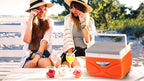 Picnic Cooler – 4.5 Liter Hard Cooler – Coolbox Keeps Contents Cool for 48 Hours – BPA Free Outdoor Cooler – Portable Cooler for Picnics, Grill, Camping (Orange)