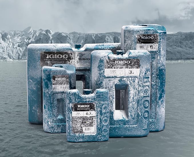 Igloo Performance Ice Block