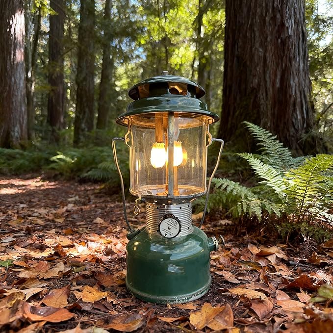20-Pack String Tie Lantern Mantles with 2 Pcs Lantern Globe Replacement Glass, Glass Globe Compatible with Coleman Fueled Lanterns, Replacement Suitable for Outdoor Camping Lantern