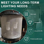 Magluv Lantern Globe for Coleman 288 Lantern Globe, Lantern Glass Replacement Mesh for Stansport Wire Mesh Lantern Globe 170, Coleman Lantern Globe Parts, Camping Lantern Accessories