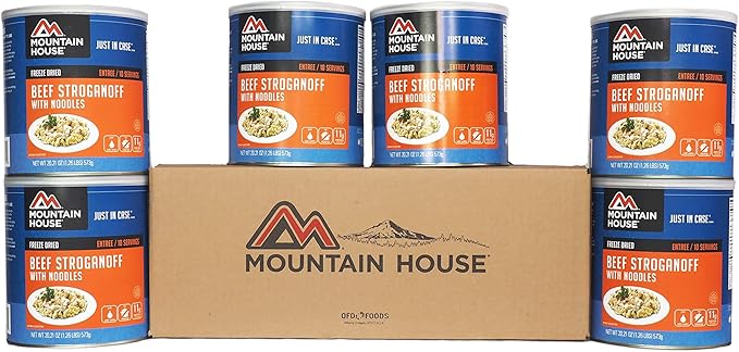 Mountain House Beef Stroganoff with Noodles | Freeze Dried Backpacking & Camping Food