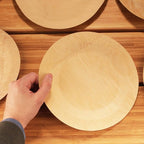 BambooMN Brand - 9" (23cm) Round Disposable Bamboo Veneer Plates, 24pcs