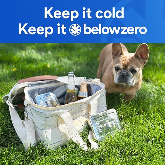 Below Zero Deluxe Stainless Steel Reusable Cooling Pack | Durable Ice Pack Lasts 48 Hours, Ice Pack for Bento, Lunch Bags, Coolers, Picnics, Camping, Beachgoers, Sporting Events | Longest Lasting