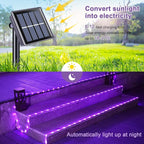 JMEXSUSS 200 LED Purple Solar Halloween Lights, 66 ft Rope Lights Outdoor Waterproof, PVC Tube Purple Christmas String Lights for Party Tree Fence Christmas (Pack of 2)