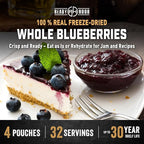 Ready Hour Freeze-Dried Blueberries Case Pack – 32 Servings (4 Pouches) – Shelf-Stable Fruit, Emergency Food Supply, Long-Term Food Storage, Shelf Stable Fruit