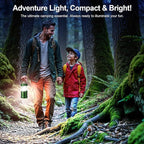 LETMY LED Camping Lantern for Power Outages, 3 Color Modes & Dimmable Battery Powered Lantern, IP65 Waterproof & Collapsible, Lanterns Flashlight Survival Kits for Emergency Hurricane Hiking, 4 Pack