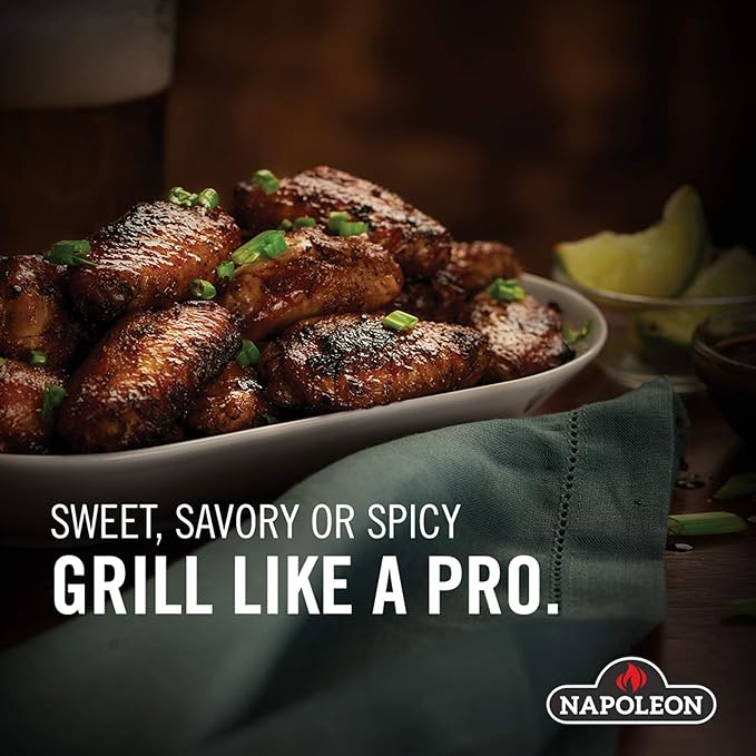 Napoleon Cast Iron Reversible Griddle - Fits All TravelQ 285 Series Portable Grills, Non-Stick, Carry Handle