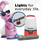 Energizer LED Headlamp PRO, IPX4 Water Resistant Headlamps, High-Performance Head Light for Outdoors, Camping, Running, Storm, Survival LED Light for Emergencies (Batteries Included) | (Pack of 8)