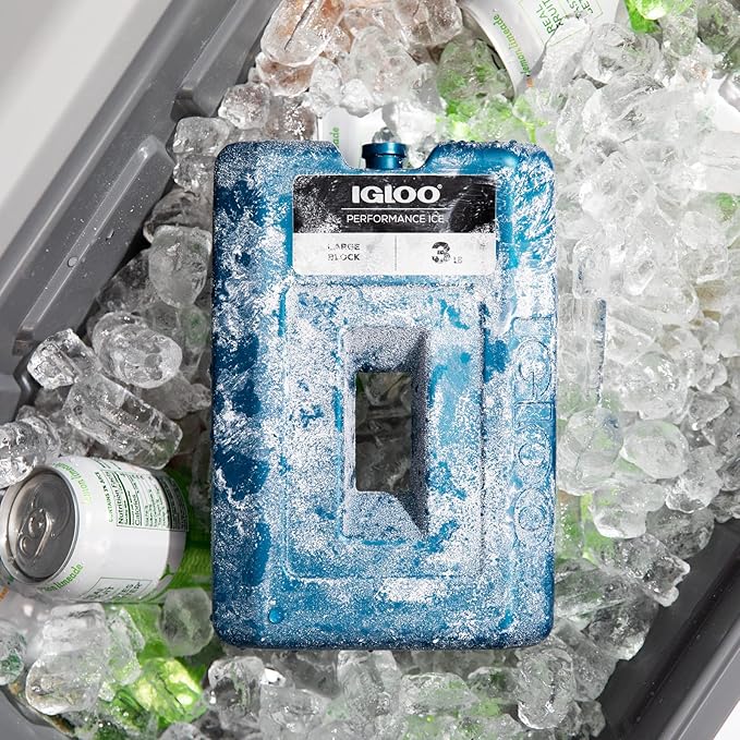 Igloo Performance Ice Block
