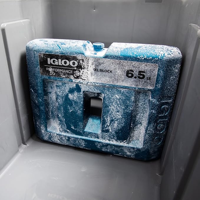 Igloo Performance Ice Block