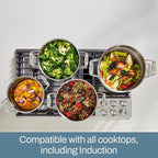 All-Clad Simply Strain Stainless Steel Stockpot, Multipot With Insert & Lid, 16 Quart Induction Oven Broiler Safe 600F, Strainer, Pasta Strainer with Handle, Steamer Pot, Pots and Pans, Silver