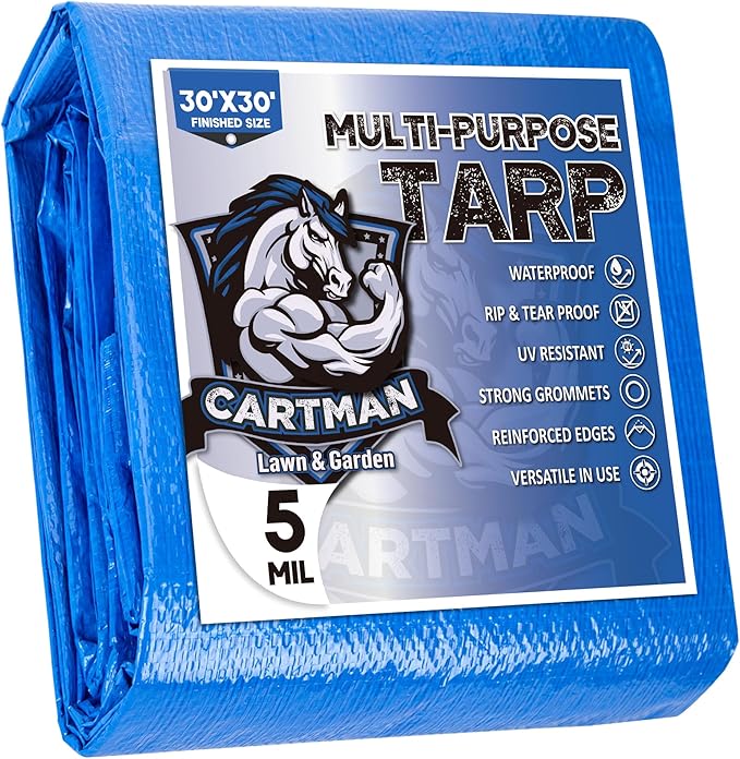 CARTMAN Finished Size 30x30 Feet Blue Poly Tarp 5 Mil Thick, Multipurpose Protective Cover for Camping, Tent, Boat, RV, Car
