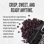 Ready Hour Freeze-Dried Blueberries Case Pack – 32 Servings (4 Pouches) – Shelf-Stable Fruit, Emergency Food Supply, Long-Term Food Storage, Shelf Stable Fruit