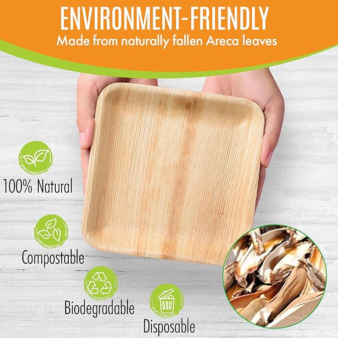 Raj Palm Leaf Plates Bulk [100-Pack] 6" Square Plates(7 CASES - 700 PACK) like Bamboo plates Disposable, Strong, Decorative Compostable Tableware for weddings, Lunch, Dinner, Outdoor BBQ
