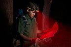 Cat Work Lights Cat CT4120 250 lm Multi Function LED Headlamp,, Black
