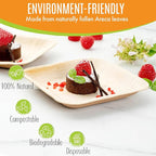 Raj Palm Leaf Bulk Plates 6" 400 Square Plates like Bamboo plates Disposable, Decorative Compostable Tableware for wedding, Lunch, Dinner, Birthday, Camping, Outdoor BBQ, Picnic