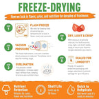 Emergency Essentials Freeze Dried Beef Dices #10 Can | Real Cooked Beef for Long Term Emergency Food Storage | Bite Size Chunks for Everyday Cooking, Soups, Stews, Camping, and Home Preparedness