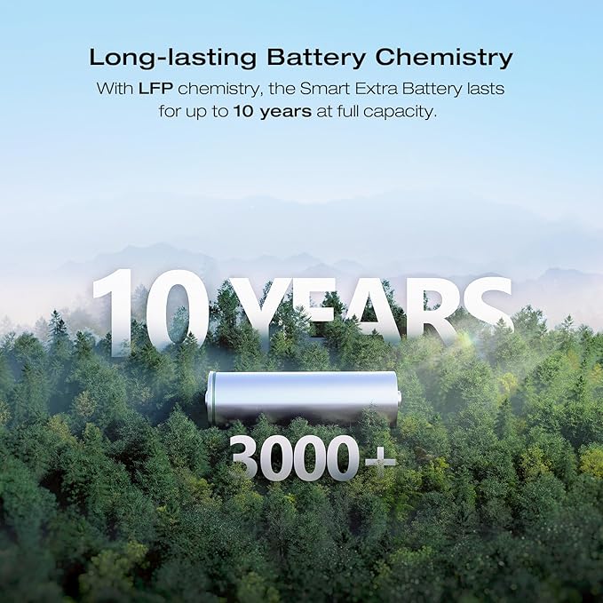EF ECOFLOW DELTA 2 Max Power Station Extra Battery, 2048Wh LiFePO4 (LFP) Battery, Compatible with DELTA 2&DELTA Max 2000&DELTA 2 Max Outdoor Generators