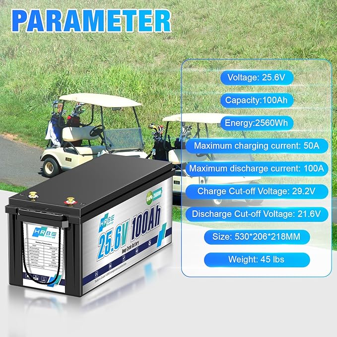 24V 100Ah LiFePO4 Battery, Built-in 100A BMS Lithium Batteries, 5000+ Cycles Lithium Iron Phosphate Battery, Perfect for RV, Solar System, Trolling Motor, Camping