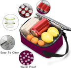 BEIMILY Lunch Box for Men Women Adults,Mini Insulated Lunch Bag for Office Work Picnic,Reusable Portable Lunchbox,Soft Cooler Tote Bag,6 can cooler bag,Mini,Dark Red