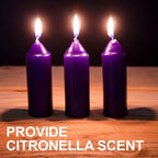 UCO 9+ Hour Candles for Candle Lanterns (3.5 Inch) (9-Hour Citronella, 20-Pack)