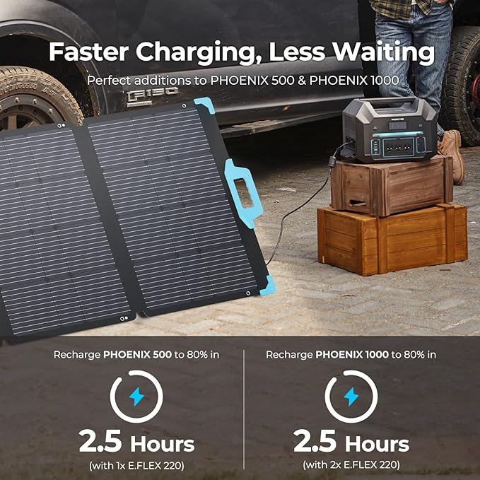 Renogy 220 watt Portable Solar Panel for Power Station, 12v Foldable Solar Panel for Camping RV of 22% Efficiency Mono Solar Module, with IP67 etfe Lamination, Adjustable Kickstand for Off Grid
