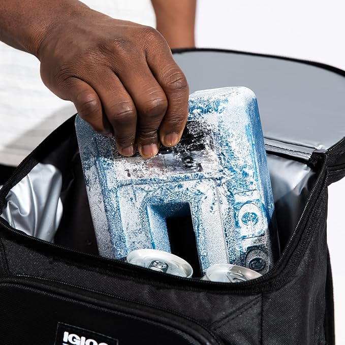 Igloo Performance Ice Block