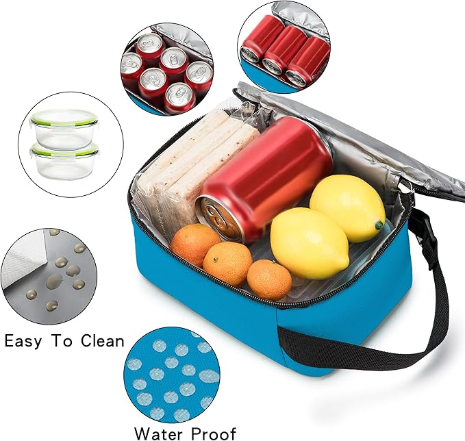 BEIMILY Lunch Box for Men Women Adults,Mini Insulated Lunch Bag for Office Work Picnic,Reusable Portable Lunchbox,Soft Cooler Tote Bag,6 can cooler bag,Mini,Gray Blue