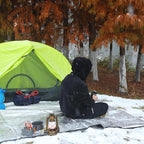 RedSwing 4 Pack Emergency Blankets, Waterproof Survival Thermal Tarp, Multipurpose Reflective Insulated All Weather Blankets for Camping Hiking, Black