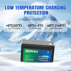 Aokly 12V 12Ah LiFePO4 Battery, Low-Temp Protection, 4000+ Cycles, Built-in 12A BMS, for UPS, Ride on Toys, Fish Finder, Marine, Power Wheels