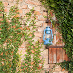 Feuerhand Outdoor Kerosene Fuel Lantern, German Made Weather Resistant Baby Special 276 Galvanized Hurricane Lamp for Camping or Patio, 10 Inches, Pastel Blue
