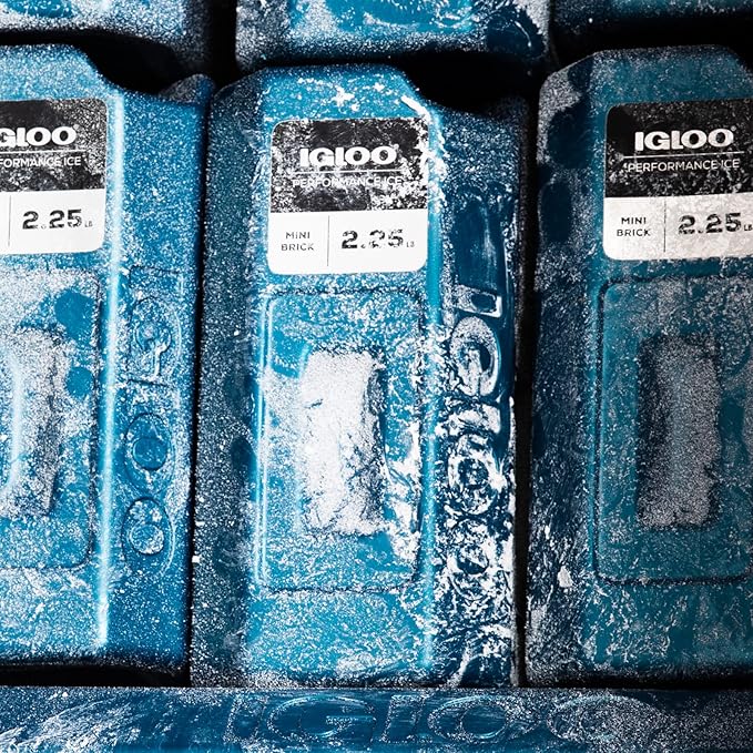 Igloo Performance Ice Block