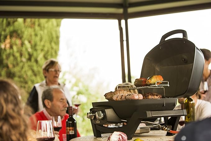 Napoleon PRO285-BK Portable Propane Grill, Black