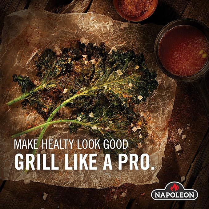Napoleon Cast Iron Reversible Griddle - Fits All TravelQ 285 Series Portable Grills, Non-Stick, Carry Handle