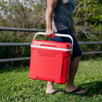Igloo Hard Cooler | Profile, Quantum & Legends Series | Insulated Ice Chests