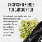 Ready Hour Broccoli Case Pack (48 Servings), Freeze-Dried, Bulk Emergency Food Broccoli Supply, Survival Emergency, Real Non-Perishable, Long Shelf Life