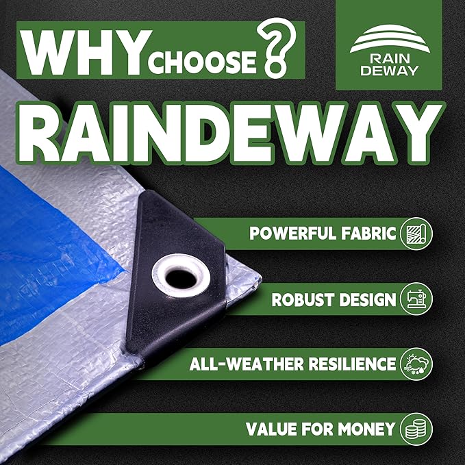 RAINDEWAY Large Tarps 30x100 Feet, 5.5 Mil - Multipurpose Waterproof Poly Tarp Cover with Metal Grommets and Reinforced Edges, Silver/Blue Tarp