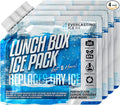 Everlasting Ice RX Reusable Ice Packs for Cooler (4 Pack) Up to 48 Hours Freezer Packs for Coolers and Lunch Boxes | 10 x 10 in | Cooler Ice Packs for Camping, Fishing, Beach, Road Trips