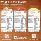 Numanna Freeze-Dried 3 Fruit Bucket – 300 Servings | Apples, Bananas, Strawberries | Healthy Snack for Everyday, Emergency & Survival Use | Durable Packaging | 25+ Year Shelf Life | Made in USA