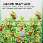 VIVOSUN 5 x 5Ft. Elastic Trellis Netting with 4 Hooks for Climbing Plants, Vegetables, Fruits, and Flowers, 1-Pack