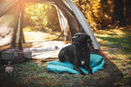Ultralight Dog Sleeping Bag for Backpacking-Outdoor Dog Bed for Hiking-Packable Sleeping Bag for Dogs-Dog Travel Bed (Glacial Blue | Large)