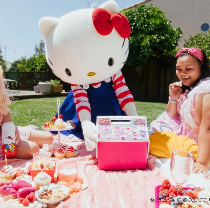 Igloo Ice Block 2-Pack | Reusable Freezer Packs | Disney | Hello Kitty | Star Wars