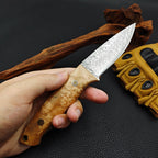 Damascus Steel Outdoor Camping Kitchen Utility Knife Hunting knife for cutting meat Fixed blade knife with stable wooden handle