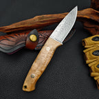 Damascus Steel Outdoor Camping Kitchen Utility Knife Hunting knife for cutting meat Fixed blade knife with stable wooden handle